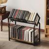 image2Tier Vinyl Record Storage Holder with Dividers 244W Vinyl Record Display 300 LPs Vinyl Record Storage Rack Suitable for Magazines Books Documents Albums